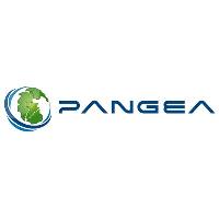 Pangea Consulting Inc image 1